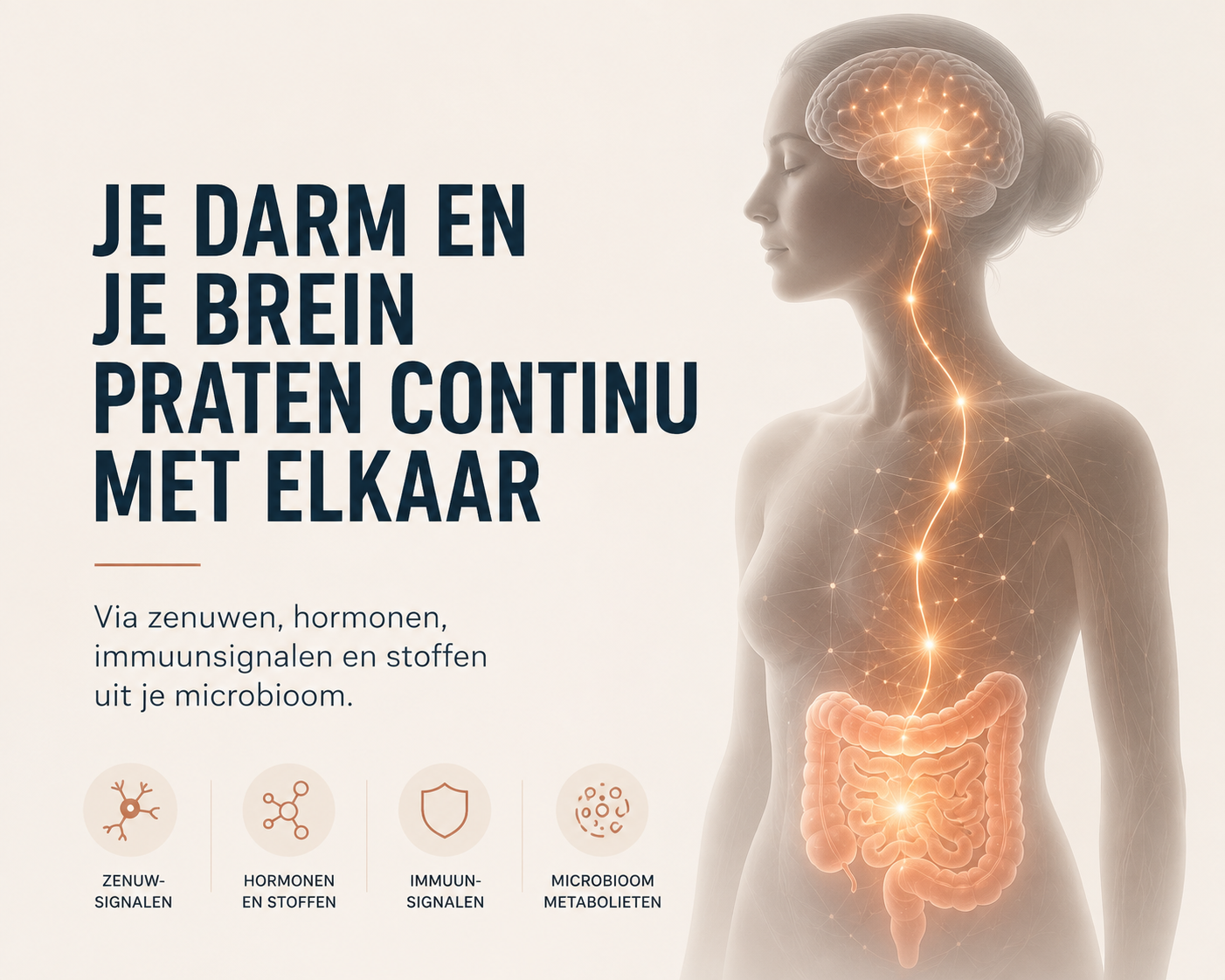 Darm-hersen-as: verbinding tussen de darmen en het brein via zenuwen en andere signalen